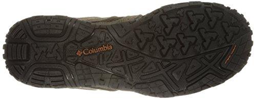 Columbia Men's Redmond Trail Shoe, Cordovan/Dark, 10.5 M US Men's Hiking Shoes Columbia 
