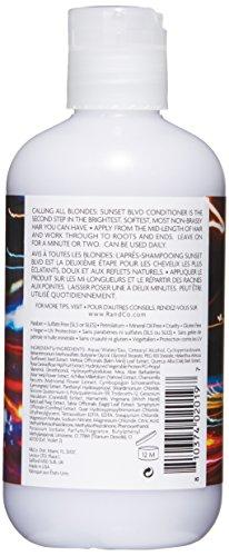R+Co Sunset Blvd Blonde Conditioner Hair Care R+Co 
