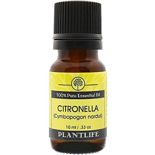 Citronella Ceylon 100% Pure Essential Oil - 10 ml Essential Oil Plantlife 