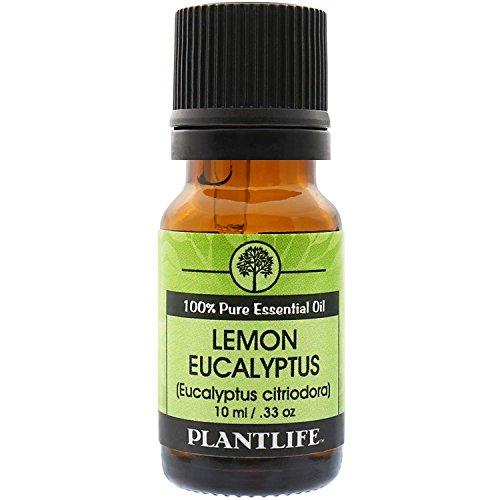 Eucalyptus Citriodora (Lemon Eucalyptus) 100% Pure Essential Oil - 10 ml Essential Oil Plantlife 
