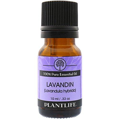 Lavandin Essential Oil (100% Pure and Natural, Therapeutic Grade) from Plantlife Essential Oil Plantlife 