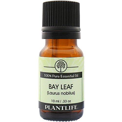 Bay Leaf 100% Pure Essential Oil - 10 ml Essential Oil Plantlife 