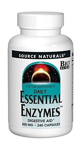 Essential Enzymes 500mg Supplement Source Naturals 