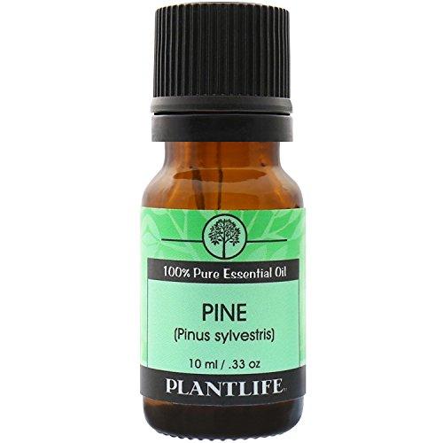 Pine Needle 100% Pure Essential Oil - 10 ml Essential Oil Plantlife 