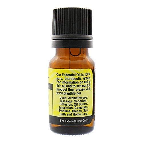 Galbanum 100% Pure Essential Oil - 10 ml Essential Oil Plantlife 
