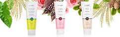 Petitfee Rose Wash Off Mask with Antioxidants, Vitamins, and Rose Extracts that Boosts Collagen Production - Can Reduce the Appearance of Dark Spots to Maintain Youthful Skin, 3.52 oz Skin Care Petitfee 