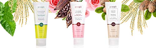 Petitfee Rose Wash Off Mask with Antioxidants, Vitamins, and Rose Extracts that Boosts Collagen Production - Can Reduce the Appearance of Dark Spots to Maintain Youthful Skin, 3.52 oz Skin Care Petitfee 