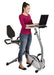 Stamina 2-in-1 Recumbent Exercise Bike Workstation & Standing Desk Sport & Recreation Stamina 