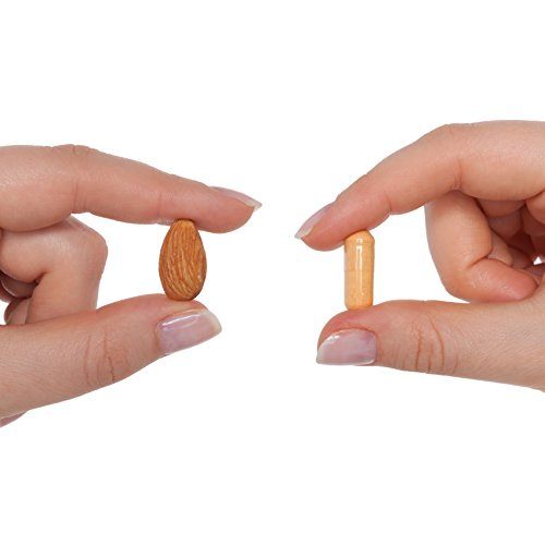 Seeking Health | HomocysteX Plus | TMG Supplement | Vitamin B Complex Capsules Supplement Seeking Health 