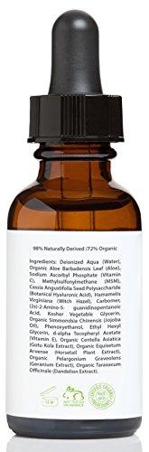 Amara Organics Vitamin C Serum for Face 20% with Hyaluronic Acid & Vitamin E, 1 fl. oz. Skin Care Amara Organics 