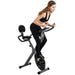 AuWit Magenetic Exercise Bike w/Multi Level Tension Control Adjustable Resistance LCD Screen Easy Storage Fitness Machine (Black) Sports AuWit 