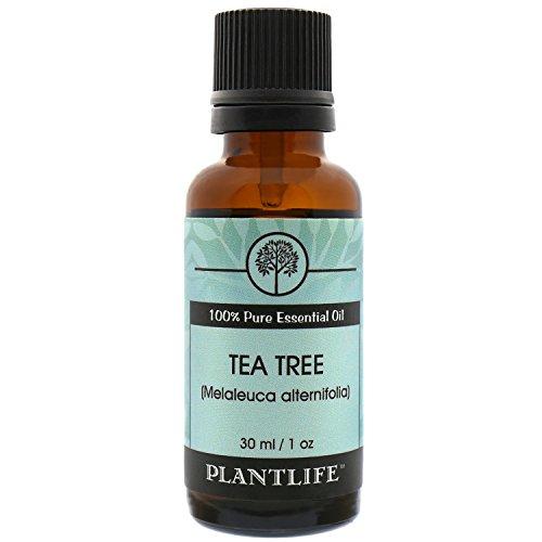 Plantlife Tea Tree Essential Oil, 100% Pure Therapeutic, Aromatherapy Grade, 30 mL Essential Oil Plantlife 