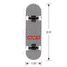 Magneto Kids Skateboard | Maple Deck with Components - Designed for Kids and Teens (Checkered) Sports Magneto 