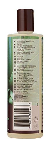 Desert Essence Tea Tree Shampoo (2pk) - 12.9 fl oz Hair Care Desert Essence 