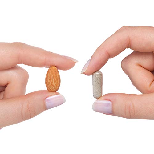 Seeking Health | Trace Minerals Complex | Trace Mineral Supplement | Includes Horsetail Extract | 30 Vegetarian Capsules Supplement Seeking Health 