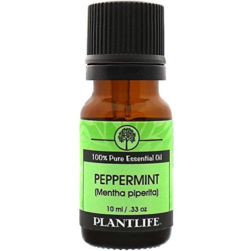 Peppermint 100% Pure Essential Oil - 10 ml Essential Oil Plantlife 