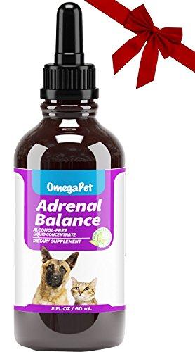 OmegaPet Best Cushings Treatment for Dogs - Adrenal Support for Dogs, Dog Cushings Drops to Make Them Happy and Healthy Again Animal Wellness OmegaPet 