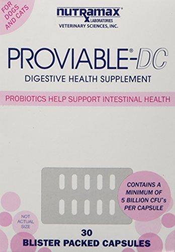 Nutramax Proviable DC Capsules for Cats and Dogs, 30 Count Animal Wellness Nutramax 