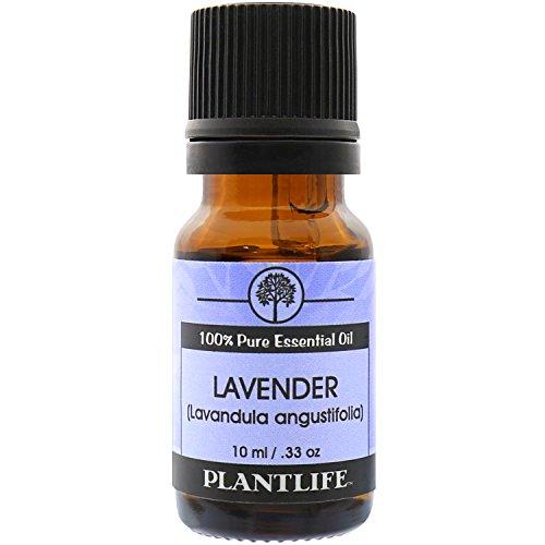 Plantlife Lavender 100% Pure Essential Oil - Bulgarian - 10 ml Essential Oil Plantlife 