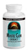 SOURCE NATURALS Mastic Gum Extract 500 Mg Capsule, 60 Count Supplement Source Naturals 