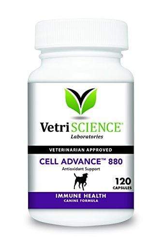 VetriScience Laboratories Cell Advance 880 for Dogs, 120 Capsules Animal Wellness VetriScience Laboratories 