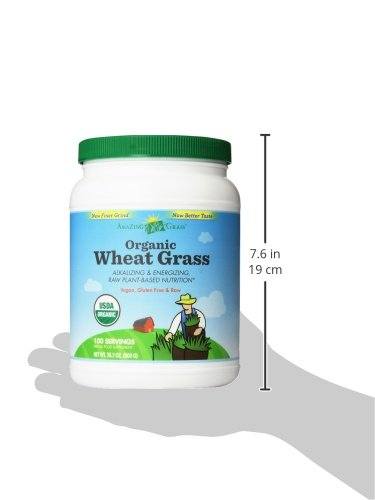 Amazing Grass Organic Wheat Grass Powder Supplement Amazing Grass 