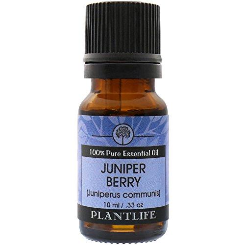 Juniper Berry 100% Pure Essential Oil - 10 ml Essential Oil Plantlife 