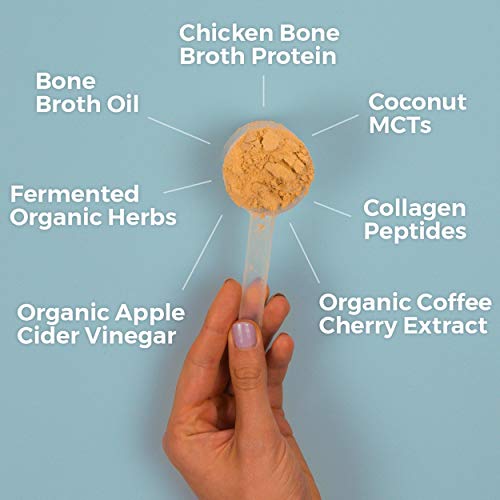 Ancient Nutrition KetoPROTEIN Powder Chocolate, 17 Servings - Keto Protein Diet Supplement, High Quality Low Carb Proteins and Fats from Bone Broth and MCT Oil Supplement Ancient Nutrition 