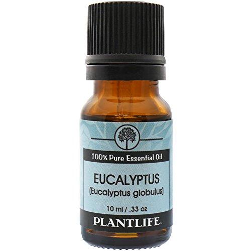 Eucalyptus 100% Pure Essential Oil - 10 ml Essential Oil Plantlife 