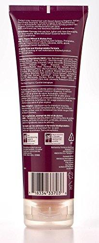 Desert Essence Italian Red Grape Shampoo - 8 fl oz (Pack of 3) Hair Care Desert Essence 