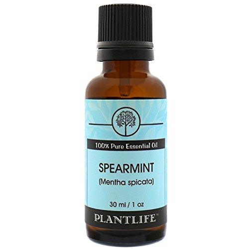 Plantlife Spearmint 100% Pure Therapeutic Grade Essential Oil - 30 ml Essential Oil Plantlife 