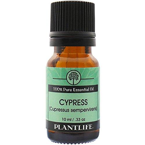 Cypress 100 % Pure Essential Oil - 10 ml Essential Oil Plantlife 