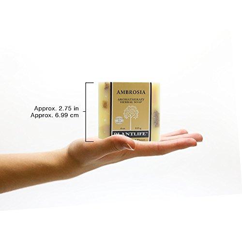 Ambrosia 100% Pure & Natural Aromatherapy Herbal Soap- 4 oz (113g) Natural Soap Plantlife 