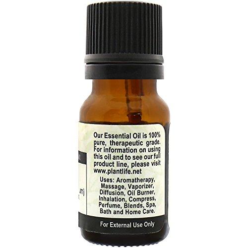 Plantlife Jasmine Essential Oil 100% Pure, Natural, Therapeutic Grade 10ml Essential Oil Plantlife 