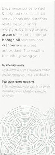 Acure Brilliantly Brightening Glowing Serum, 1 Fluid Ounce (Packaging May Vary) Skin Care Acure 