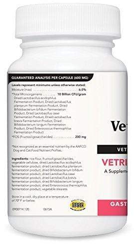 VetriScience Laboratories Vetri Mega Probiotic, Digestive Support with Probiotics and Prebiotics for Dogs and Cats, 120 Capsules Animal Wellness VetriScience Laboratories 