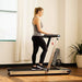 Asuna Space Saving Treadmill, Motorized with Speakers for AUX Audio Connection - 8730G Sports Sunny Health & Fitness 