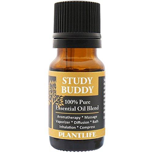 Study Buddy - 100% Pure Essential Oil Blend Essential Oil Plantlife 