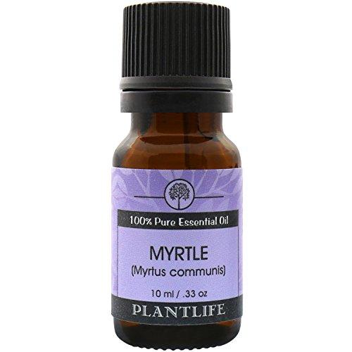 Myrtle Essential Oil (100% Pure and Natural, Therapeutic Grade) 10 ml Essential Oil Plantlife 