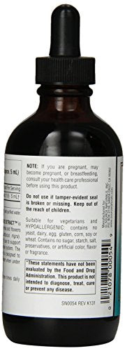 Source Naturals Wellness Elderberry Liquid Extract 100mg (Sambucus nigra) - 4 oz Liquid Supplement Source Naturals 