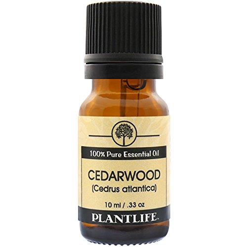 Cedarwood Atlantic 100% Pure Essential Oil - 10 ml Essential Oil Plantlife 