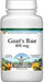 Goat's Rue - 450 mg Supplement TerraVita 
