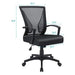 Furmax Office Mid Back Swivel Lumbar Support Desk, Computer Ergonomic Mesh Chair with Armrest (Black) Furniture Furmax 