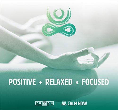CALM NOW Soothing Stress Support Supplement, Herbal Blend Crafted To Keep Busy Minds Relaxed, Focused & Positive; Supports Serotonin Increase; Hawthorn, Ashwagandha, Rhodiola Rosea, B Vitamins & More Supplement Zhou Nutrition 
