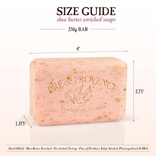 Pre de Provence Artisanal French Soap Bar Enriched with Shea Butter, Quad-Milled For A Smooth & Rich Lather (250 grams) - Lavender Natural Soap Pre de Provence 