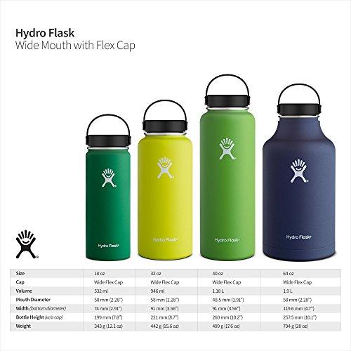 Hydro Flask 40 oz Double Wall Vacuum Insulated Stainless Steel Leak Proof Sports Water Bottle, Wide Mouth with BPA Free Flex Cap, Black Sport & Recreation Hydro Flask 