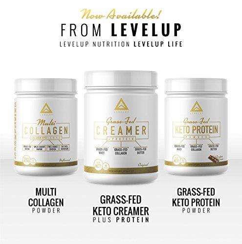 Clean MCT Capsules - Pure C8 MCT Oil Softgels (1000mg Each) Supplement LevelUp 