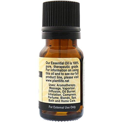 Nutmeg 100% Pure Essential Oil - 10 ml Essential Oil Plantlife 