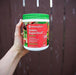 Amazing Grass Energy Green Superfood Organic Powder with Wheat Grass and Greens, Natural Caffeine with Yerba Mate and Matcha Green Tea, Flavor: Watermelon, 60 Servings Supplement Amazing Grass 