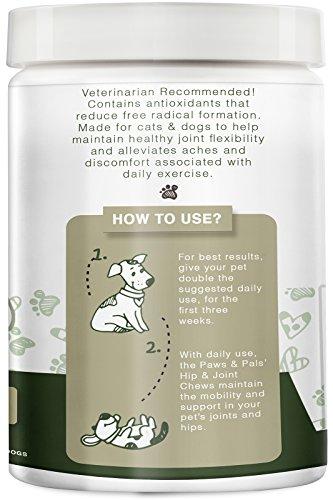 Paws & Pals Glucosamine Chondroitin Hip Joint 240ct Supplement for Dogs Cat Advanced Level 2 Formula All Natural Soft Chews MSN Animal Wellness Paws & Pals 